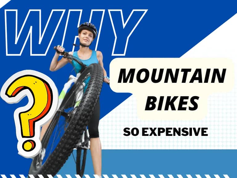 Why Are Mountain Bikes So Expensive Today